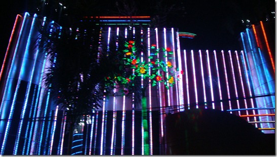 DSC03686