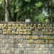 View album