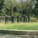 View album