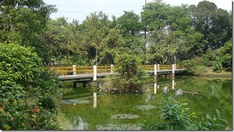 DSC04011