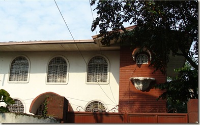 DSC02544